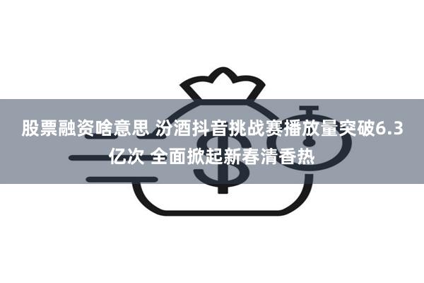 股票融资啥意思 汾酒抖音挑战赛播放量突破6.3亿次 全面掀起新春清香热