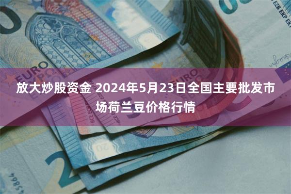 放大炒股资金 2024年5月23日全国主要批发市场荷兰豆价格行情