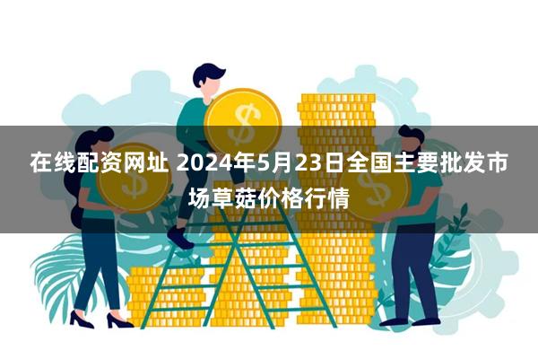 在线配资网址 2024年5月23日全国主要批发市场草菇价格行情