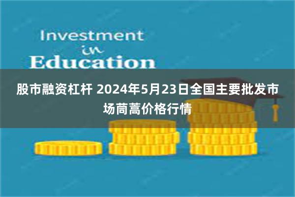 股市融资杠杆 2024年5月23日全国主要批发市场茼蒿价格行情