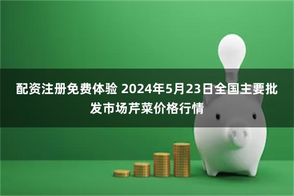 配资注册免费体验 2024年5月23日全国主要批发市场芹菜价格行情