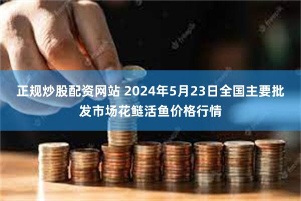 正规炒股配资网站 2024年5月23日全国主要批发市场花鲢活鱼价格行情