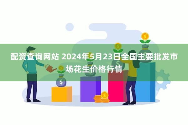 配资查询网站 2024年5月23日全国主要批发市场花生价格行情