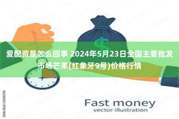 爱配资是怎么回事 2024年5月23日全国主要批发市场芒果(红象牙9号)价格行情