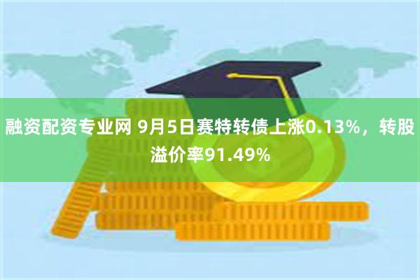 融资配资专业网 9月5日赛特转债上涨0.13%，转股溢价率91.49%