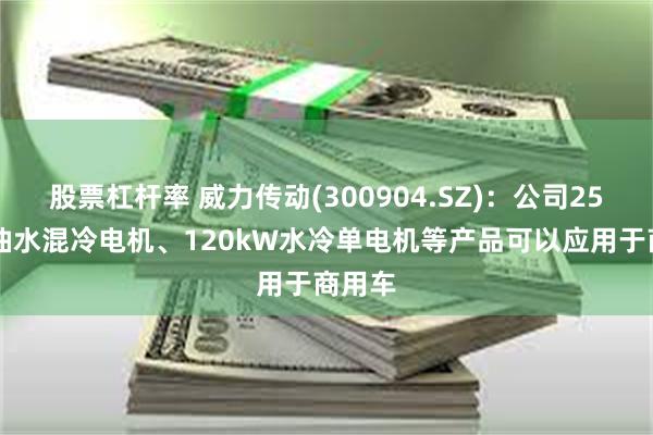 股票杠杆率 威力传动(300904.SZ)：公司250kW油水混冷电机、120kW水冷单电机等产品可以应用于商用车