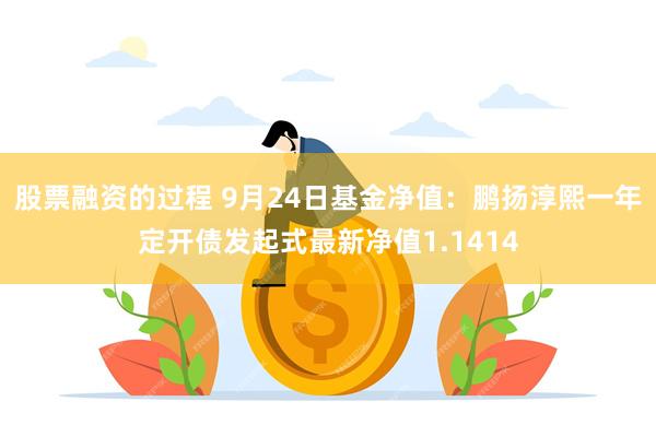 股票融资的过程 9月24日基金净值：鹏扬淳熙一年定开债发起式最新净值1.1414