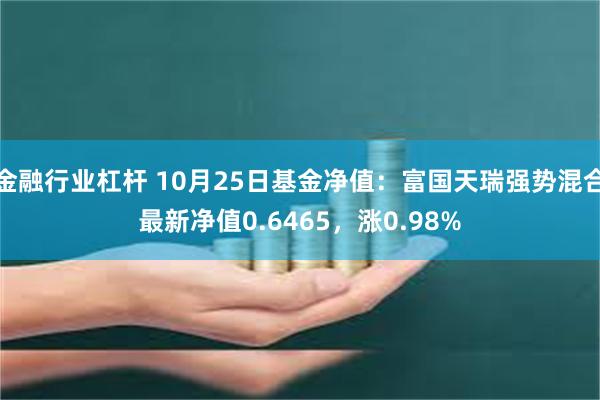 金融行业杠杆 10月25日基金净值：富国天瑞强势混合最新净值0.6465，涨0.98%