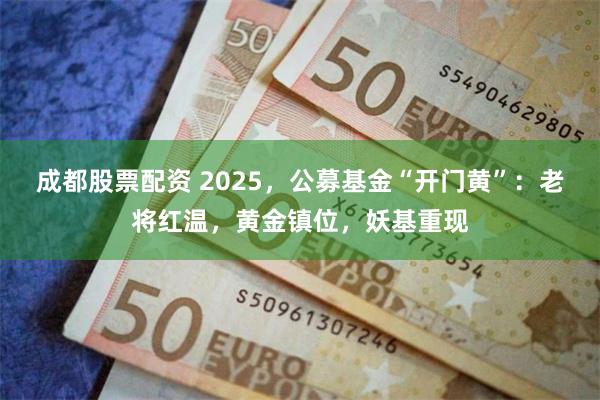 成都股票配资 2025，公募基金“开门黄”：老将红温，黄金镇位，妖基重现